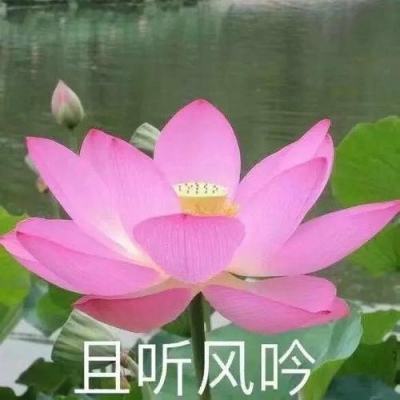 新华社消息丨第28届“中国青年五四奖章”评选揭晓